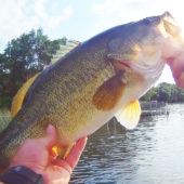 Bass Fishing June 2018 Highlights