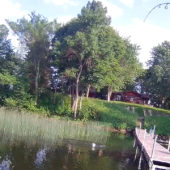 Fishing Lake Structures Episode 1: Cattails & Pencil Reeds